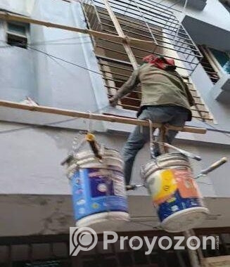 প্রফেশনাল এক্সপার্ট পেইন্টার
