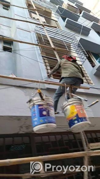 প্রফেশনাল এক্সপার্ট পেইন্টার