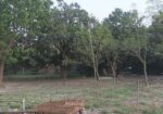 5.5 Land For Sale