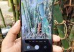 Xiaomi Redmi 10C 4+3/64 gb (Used)
