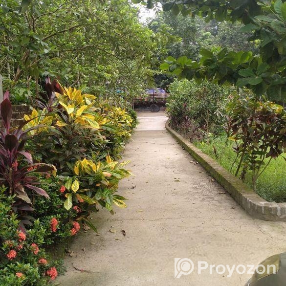 Individual House For Rent