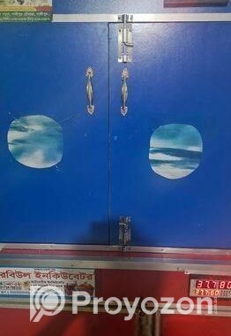 ৯০০ ডিমের ইনকিউবেটরে ফুল ফ্রেশ