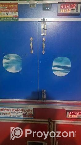 ৯০০ ডিমের ইনকিউবেটরে ফুল ফ্রেশ