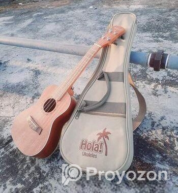 Guitar For Sale