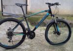 Bicycle for sale