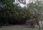 5.5 Land For Sale
