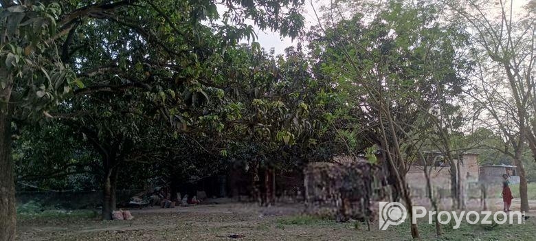 5.5 Land For Sale