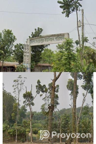 জমি বিক্রি