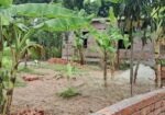 বিমানবন্দর সংলগ্ন এলাকায় প্লট বিক্রি