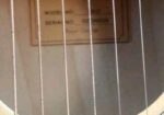 Guiter