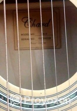 Guiter