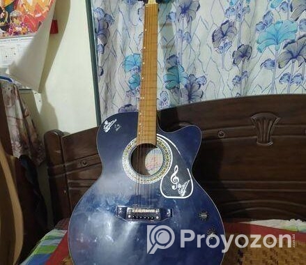 গিটার পণ্য বিক্রি হবে