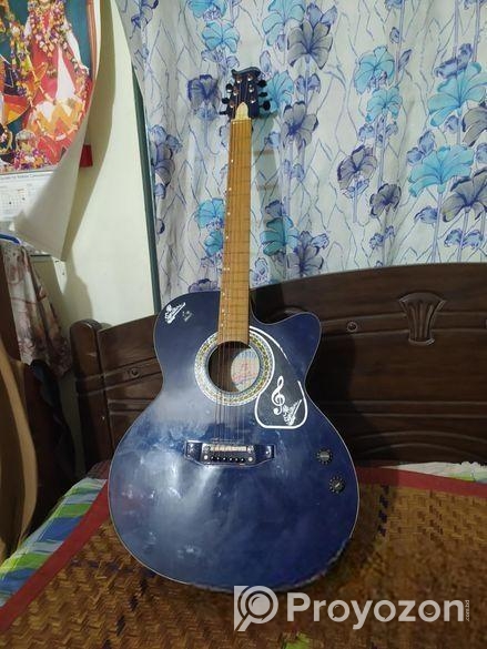 গিটার পণ্য বিক্রি হবে