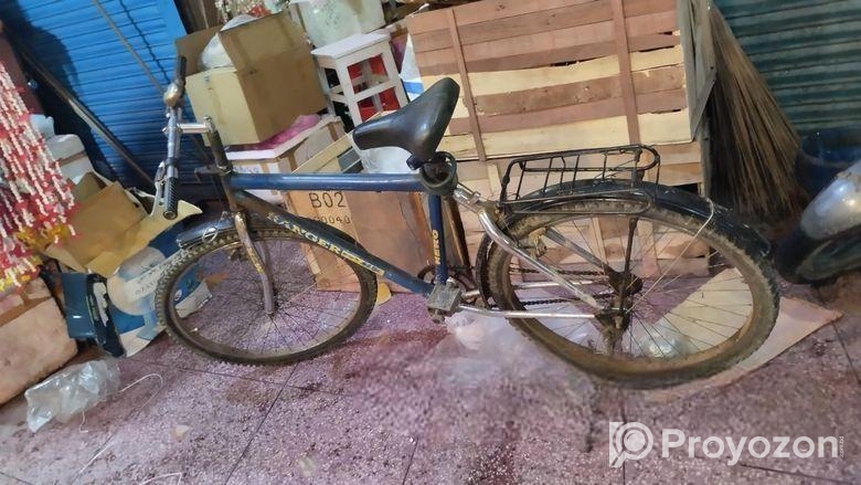 এই রেঞ্জার ম্যাক্স ব্যাকসাইকেলটি বিক্রয় হবে