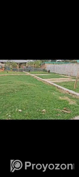 কুমিল্লা সিটি ১৭নং ওয়ার্ড এ জমি বিক্রয় হবে।(দালাল মুক্ত)