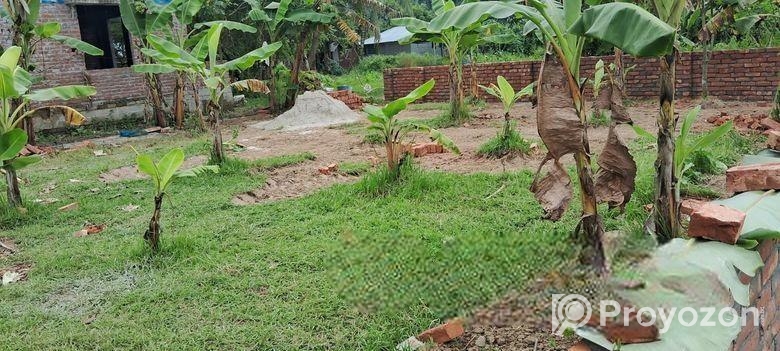 বিমানবন্দর সংলগ্ন এলাকায় প্লট বিক্রি