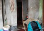 বাড়ি সহ জমি বিক্রি হবে