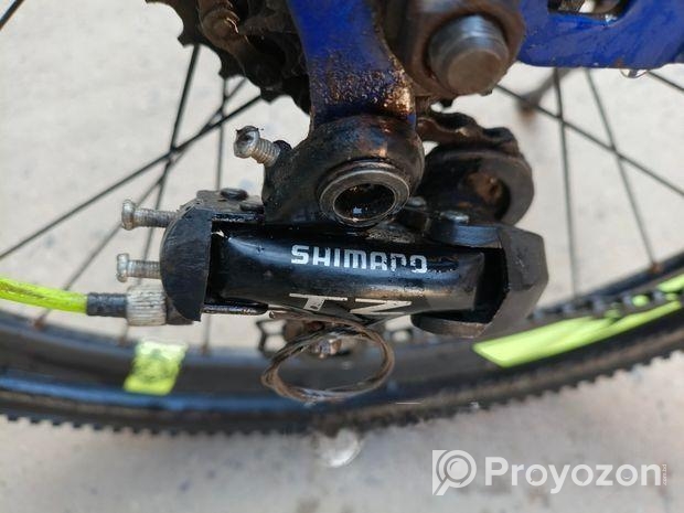 Phoniex. ger 21 speed