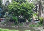 Land for sell