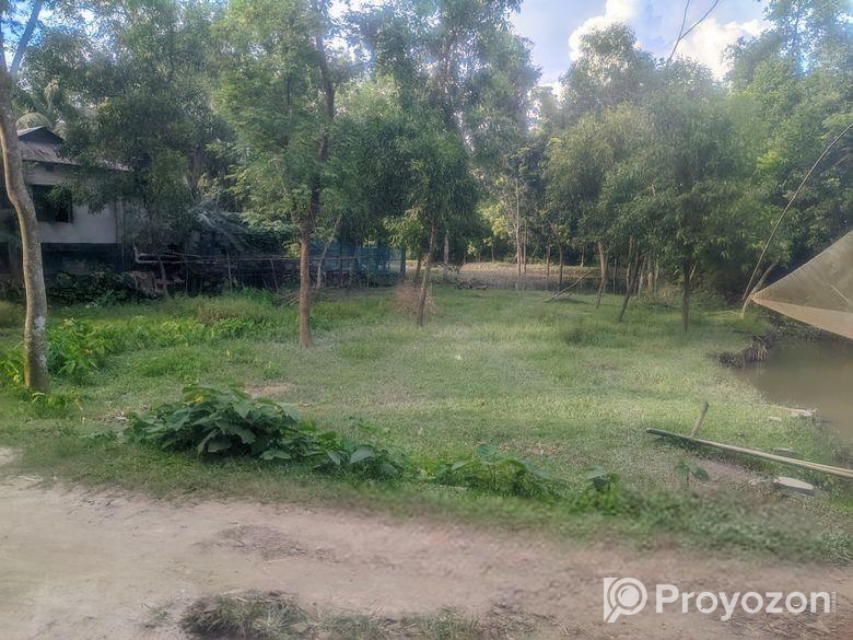 রাস্তের পাশে ১৩ শতক জমি জরুরীভিত্তিতে বিক্রয় হবে।