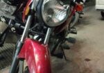 Suzuki GSX 2024