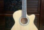 Guiter