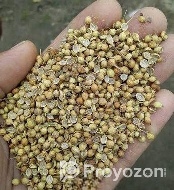 ধনিয়া বিক্রয় হবে