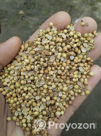 ধনিয়া বিক্রয় হবে