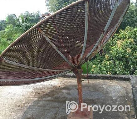 ছি ব্র্যান্ডের ডিসের খাঁচা
