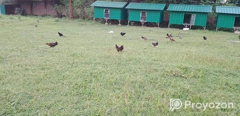 মাওনা, গাজীপুরে জমি বিক্রয়