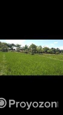 ৩৬ সথক জায়গা