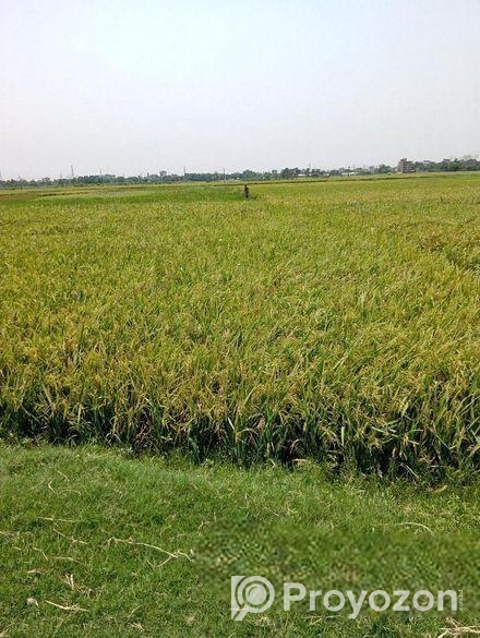 ২২ শতক ইপিজেডের দক্ষিণে জমি বিক্রি হবে