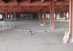 1,25,000 sft. Warehouse cum factory shed at Mawna, Sreepur, Gazip