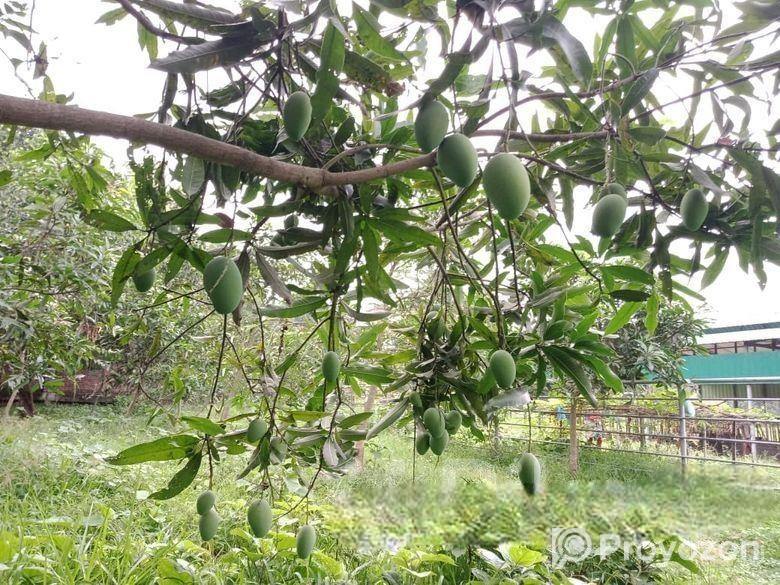 মাওনা, গাজীপুরে জমি বিক্রয়