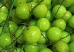 দেশি আমালকি
