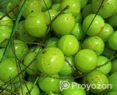 দেশি আমালকি