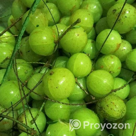 দেশি আমালকি