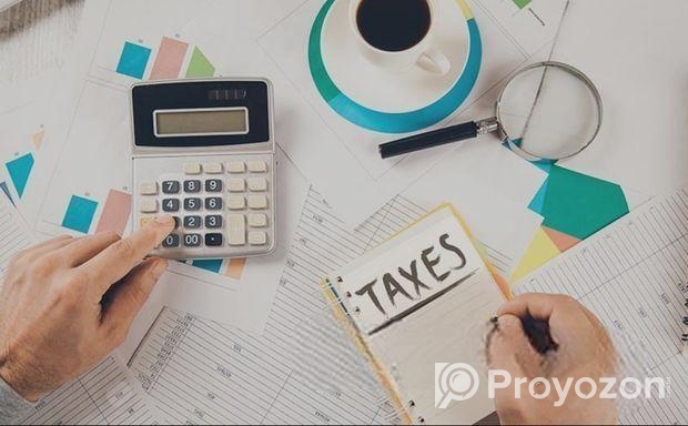 Accounting & Tax Consultant