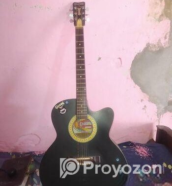 গিটার বিক্রি করা হবে
