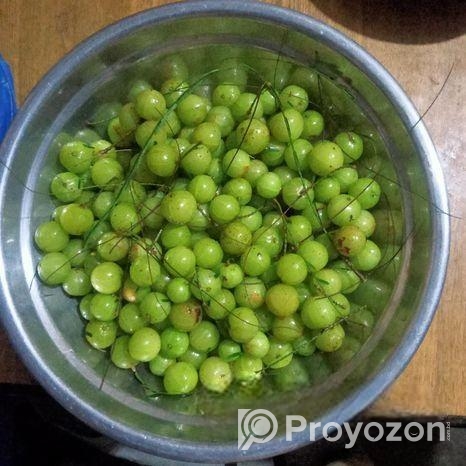 দেশি আমালকি