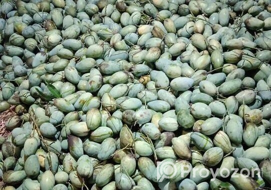 দেশি আমালকি