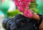 Canon 250 body