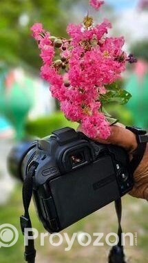 Canon 250 body