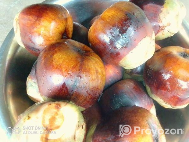 পাকা তাল