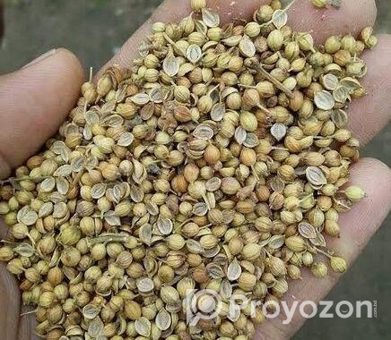 ধনিয়া বিক্রয় হবে