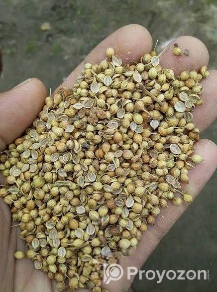 ধনিয়া বিক্রয় হবে