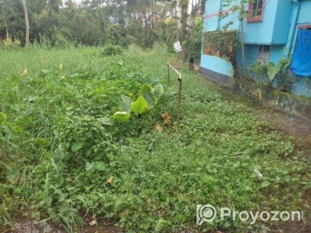 সামনাসামনি সব হবে. জমি বিক্রয়