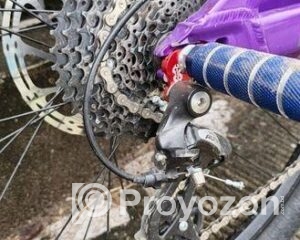 fitted-29_2025-09-28_10-06-45