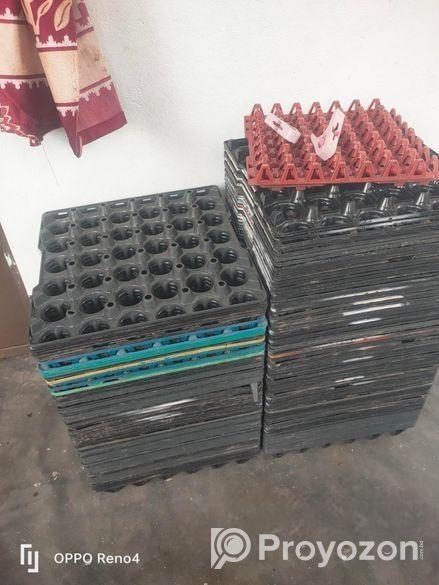 ডিমের কেচ বিক্রি হবে