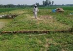 Land for sell